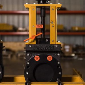 DSS Double Block and Bleed